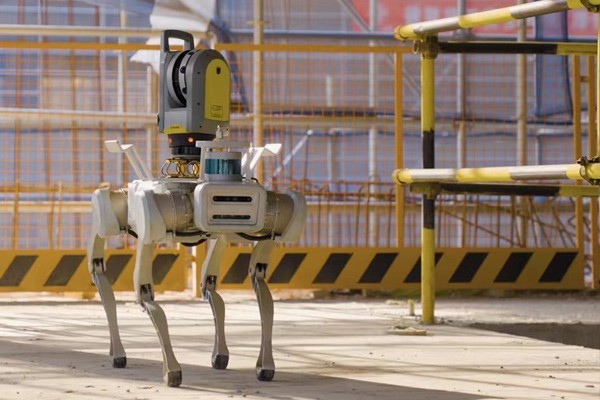 X20 quadruped robot dog